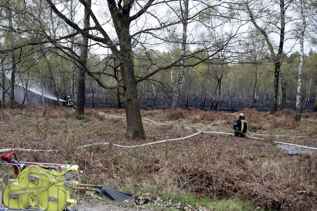 Waldbrand Wahner Heide Troisdorf Eisenweg P106.JPG - Miklos Laubert